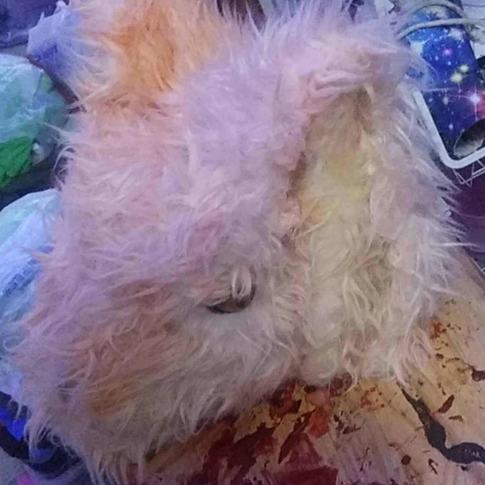 Orange fursuit head homemade